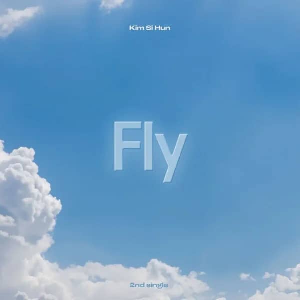 Fly
