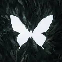 SOAR