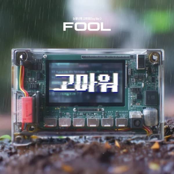 FOOL (Grateful to Tears) (English ver.)