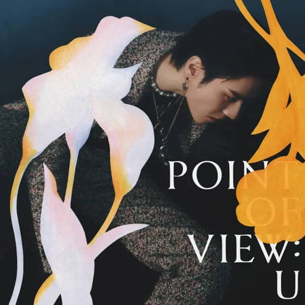 Point of View: U