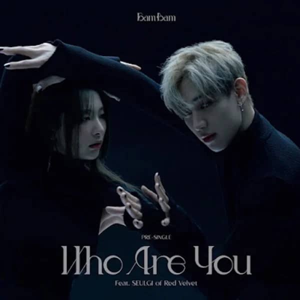 Who Are You (feat. Seulgi)