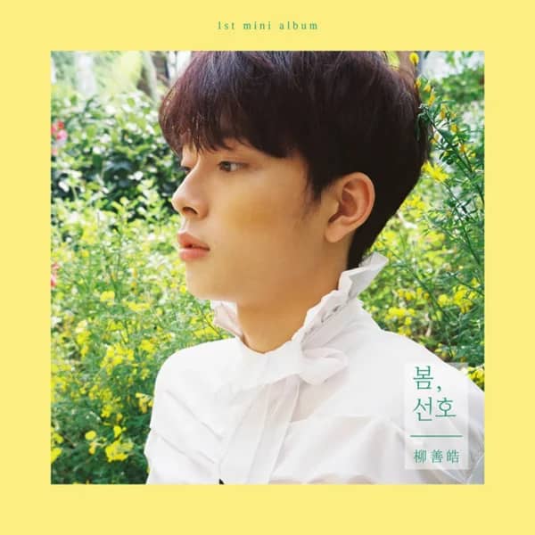 Spring, Seonho STUDIO • 2018