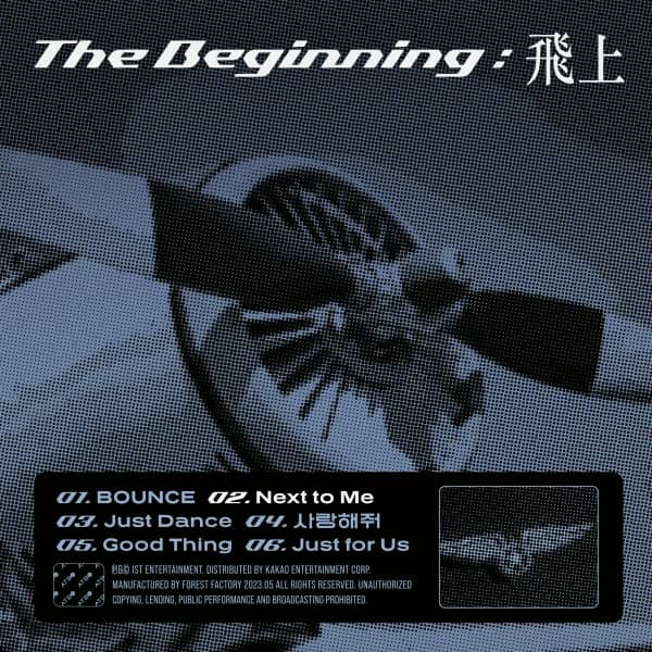 The Beginning : 飛上