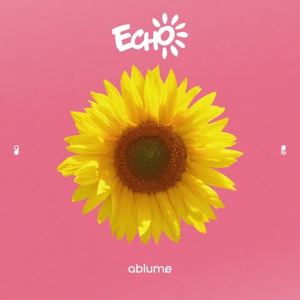 Echoes of Echo
