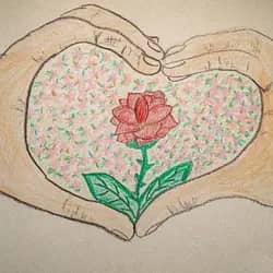 Flower Garden