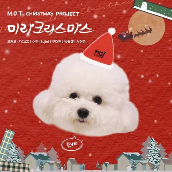 The Miracle of Christmas
