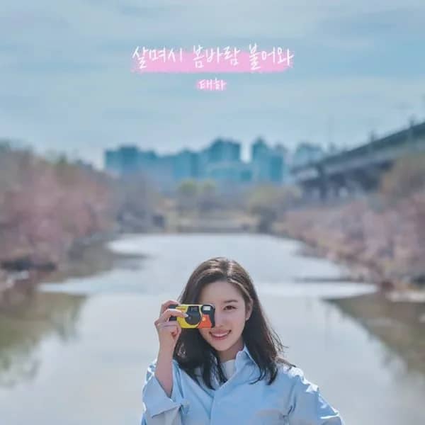 A Gentle Spring Breeze