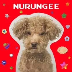 Nurungee