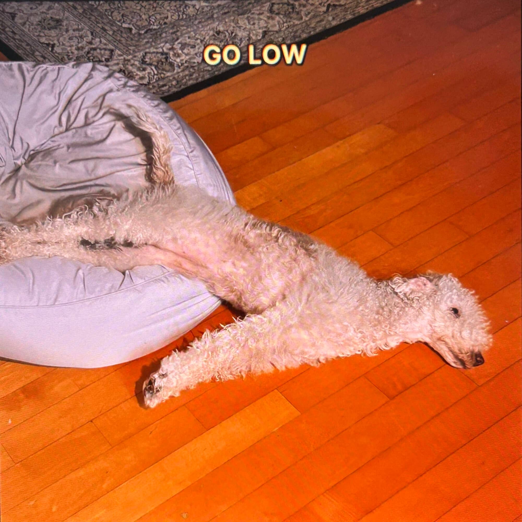 GO LOW