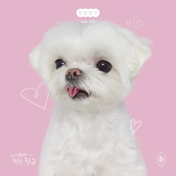 Best Friend (Feat. COCO)