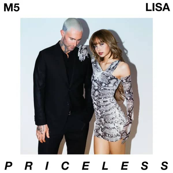 Priceless (with Maroon 5)
