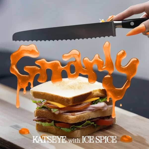 Gnarly (Ice Spice Remix)