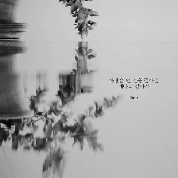 Echoes of Love's Journey