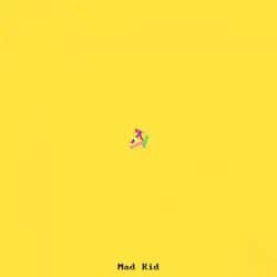 Mad Kid