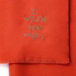 I Wish You Well
