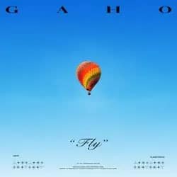 FLY
