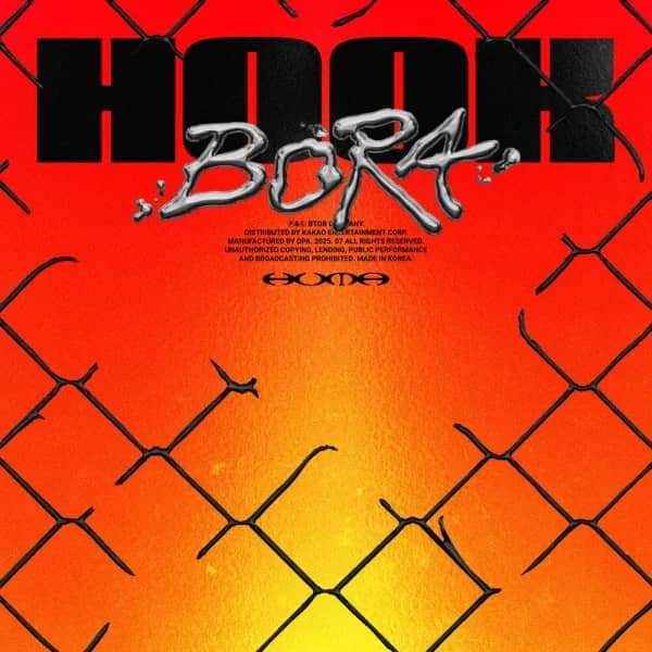Hook