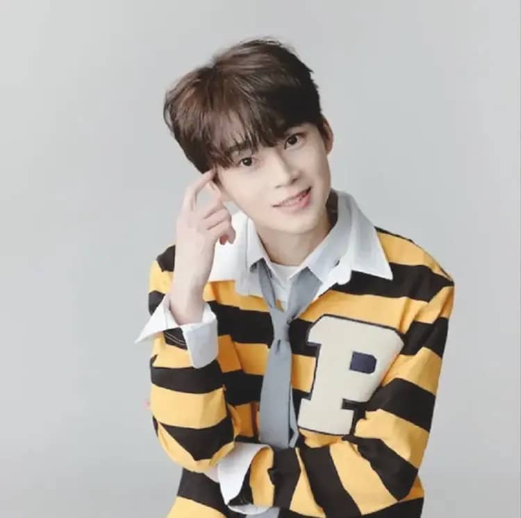 Chibin