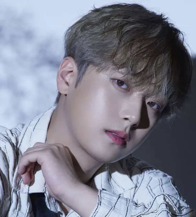 Lee Chan Won